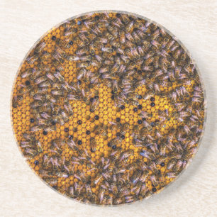 HONEY BEES   COASTER
