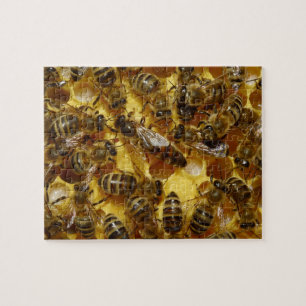 Honey Bees in Hive with Queen in Middle Jigsaw Puzzle