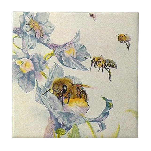 Honey bees & morning glory flowers Pretty Tile (Front)