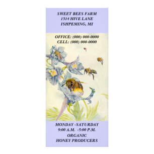 HONEY BEES & MORNING GLORY FLOWERS Rack Cards