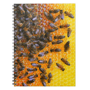 HONEY BEES  NOTEBOOK