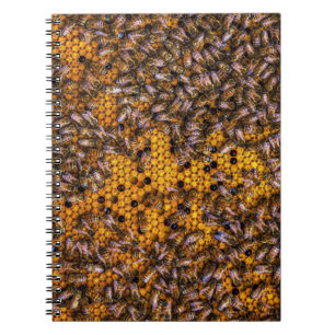 HONEY BEES NOTEBOOK