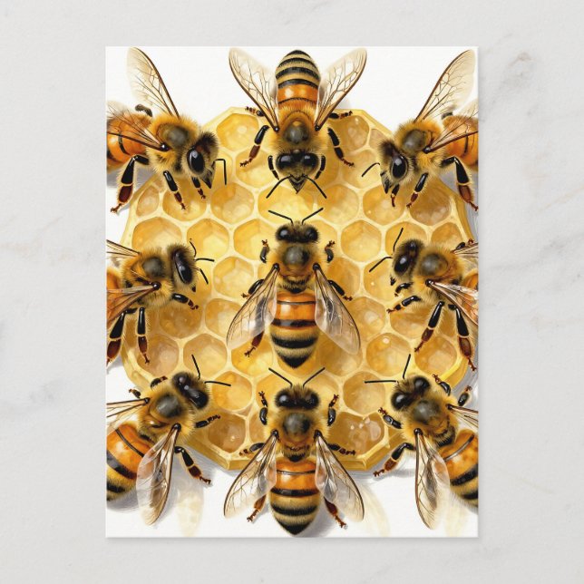 Honey Bees on Hexagonal Honeycomb Circle Postcard (Front)