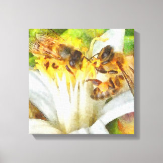 Honey Bees On Lemon Blossom Watercolor Art Canvas Print