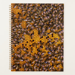HONEY BEES   PLANNER