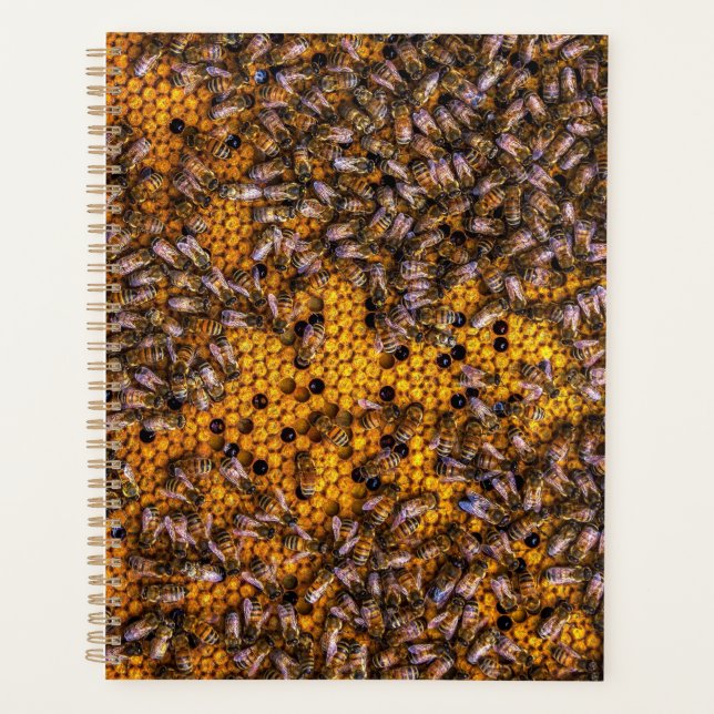 HONEY BEES   PLANNER (Front)