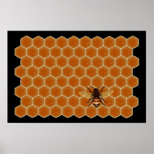 Honey Bees Poster