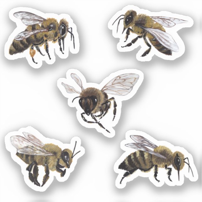 Honey Bees Vinyl Stickers (Front)