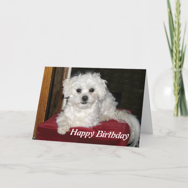 Honey Birthday Card (Front)