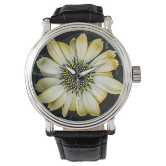 Honey Blossom Yellow Coneflower Watch