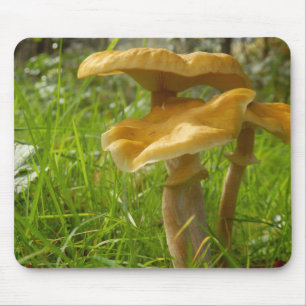 Honey Fungus Mouse Mat