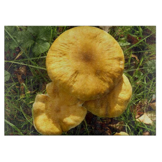 Honey Fungus Mushroom Glass Chopping Board (Front)