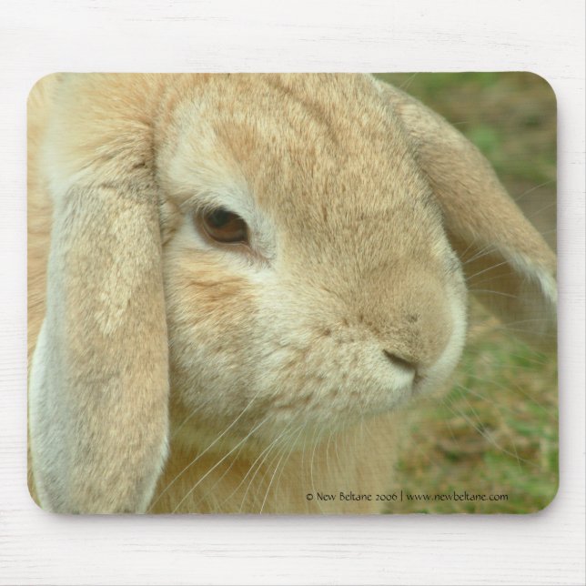 Honey,  Lop-eared Rabbit Mouse Mat (Front)