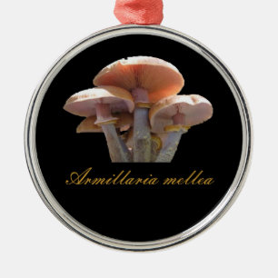 Honey mushroom christmas ornament
