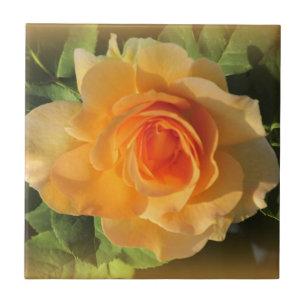 Honey Perfume Rose Tile