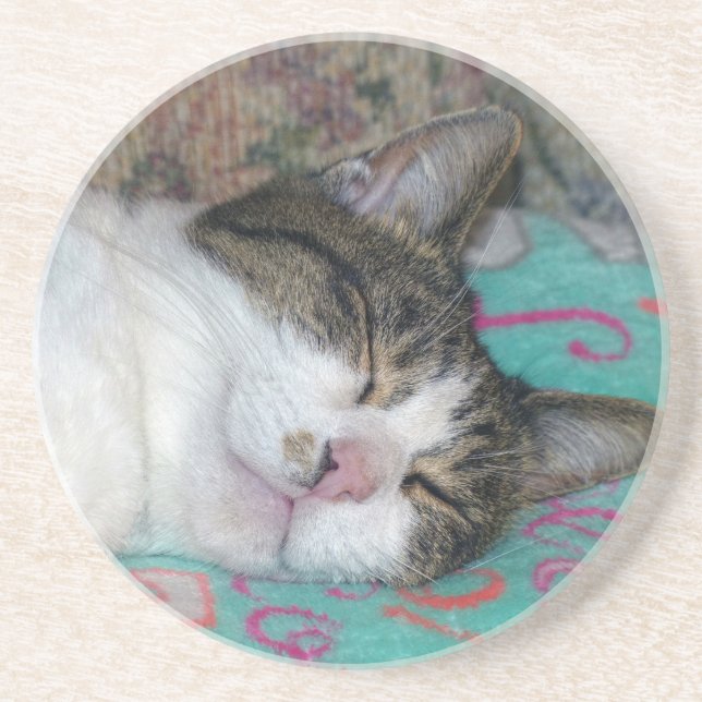 Honey Sleeping Coaster (Front)