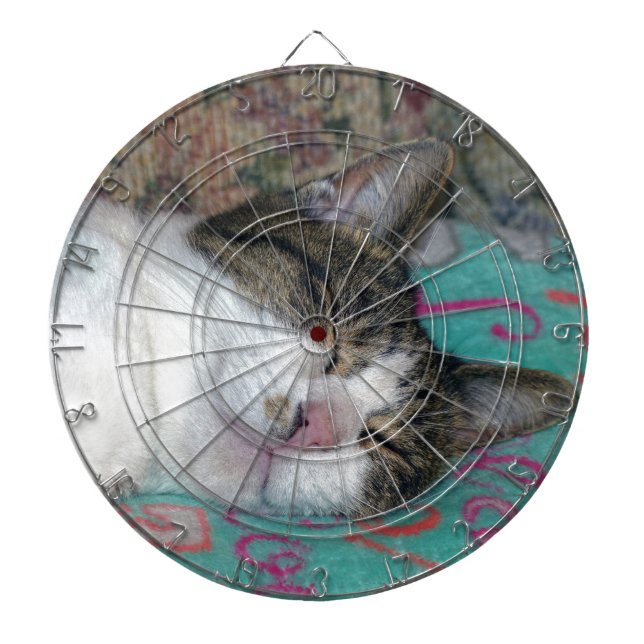 Honey Sleeping Dartboard (Front)