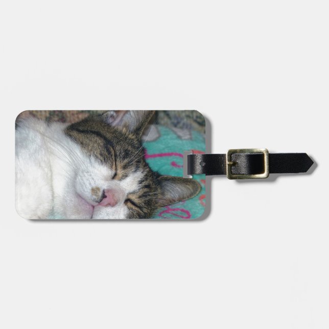 Honey Sleeping Luggage Tag (Front Horizontal)