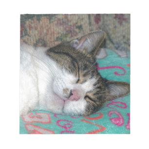 Honey Sleeping Notepad