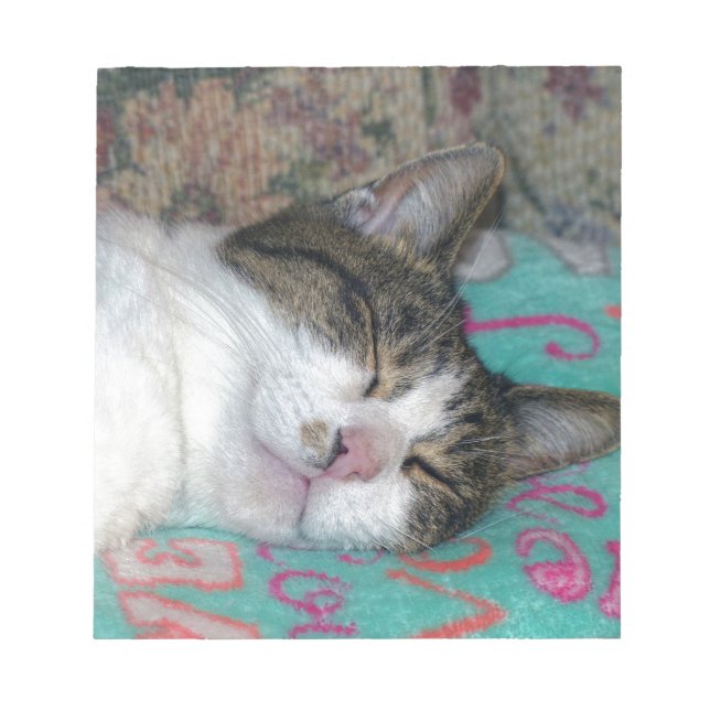 Honey Sleeping Notepad (Front)