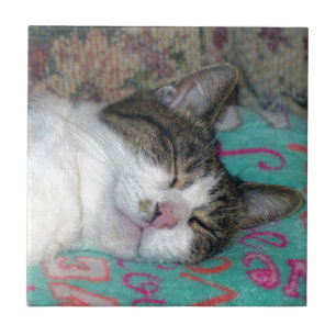 Honey Sleeping Tile