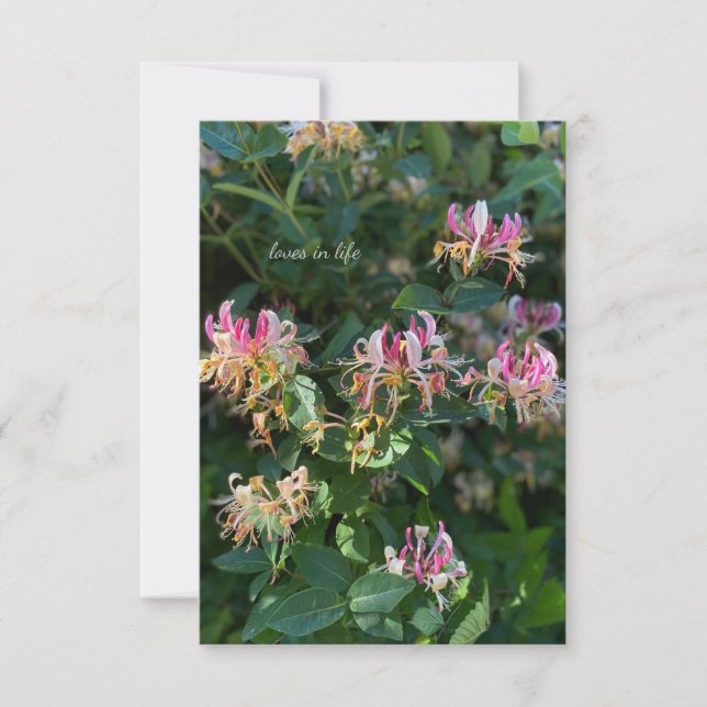 Honey Suckle  Card (Front)
