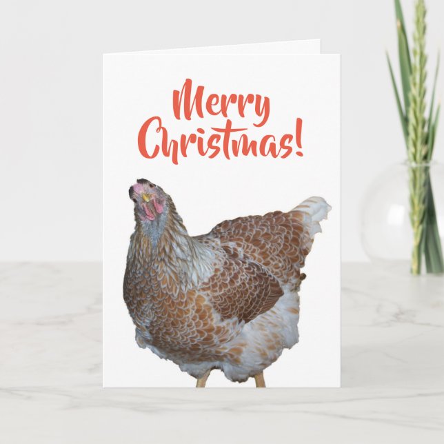 Honey the Blue Laced Wyandotte Hen Merry Christmas Holiday Card (Front)