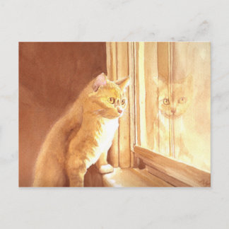 Honey the Kitten Postcard
