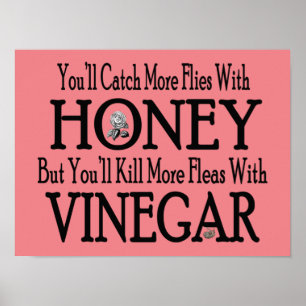 Honey & Vinegar  Poster