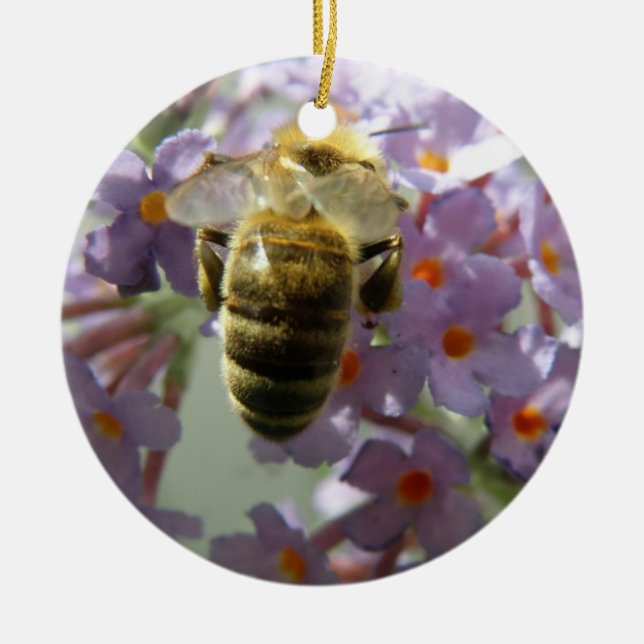 Honeybee and Buddleia Flowers Ornament (Front)