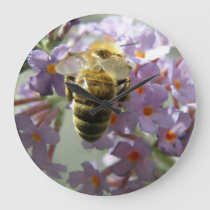 Honeybee and Buddleia Flowers Wall Clock