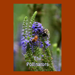 HoneyBee and Bumblebee Pollinators Purple Floral Poster
