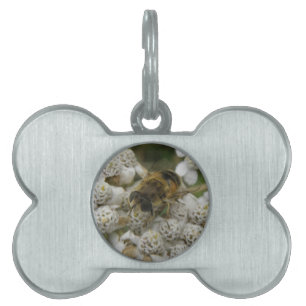Honeybee and Flowers Pet Tag