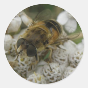 Honeybee and Flowers Sticker
