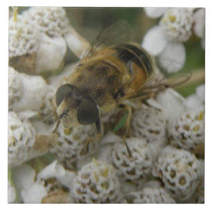 Honeybee and Flowers Tile