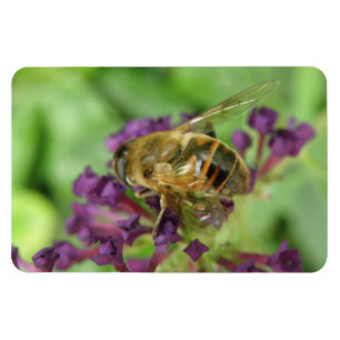 Honeybee and Purple Flowers Flexi Magnet