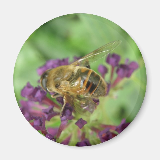 Honeybee and Purple Flowers Magnet (Front)