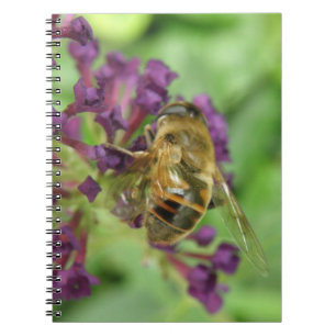 Honeybee and Purple Flowers Notebook