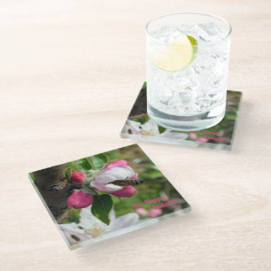 Honeybee & Apple Blossom   Fine Art Glass Coasters