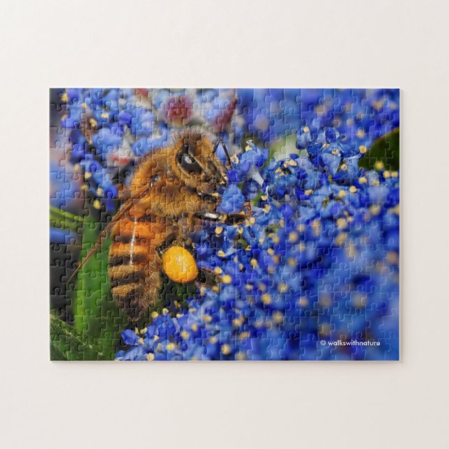 Honeybee: Busy California Lilac Pollinator Jigsaw Puzzle (Horizontal)