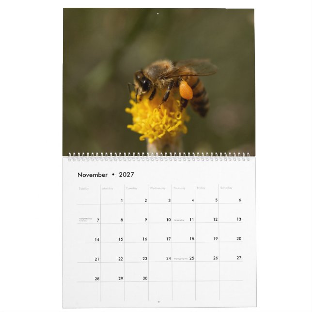 Honeybee  calendar (Nov 2027)