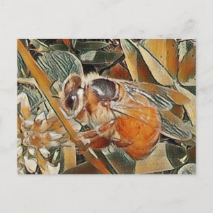 HONEYBEE IN CLOVER - POSTCARD