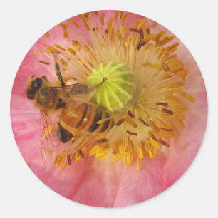 Honeybee in the Poppy Classic Round Sticker