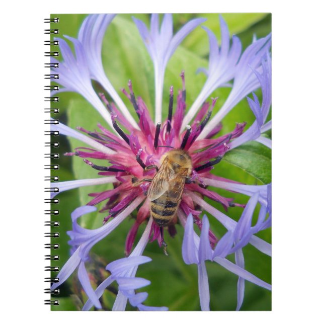 Honeybee Mandala Notebook (Front)