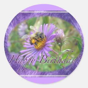 Honeybee on Asters Birthday Coordinating Items Classic Round Sticker
