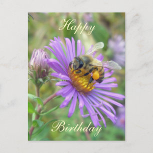 Honeybee on Asters Birthday Coordinating Items Postcard