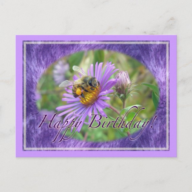 Honeybee on Asters Birthday Coordinating Items Postcard (Front)