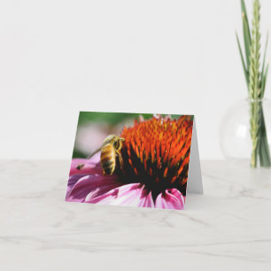 Honeybee On Flower Photography  Note Card