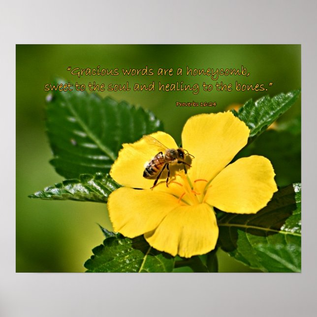 Honeybee on Flower, Proverbs 16:24 Poster (Front)