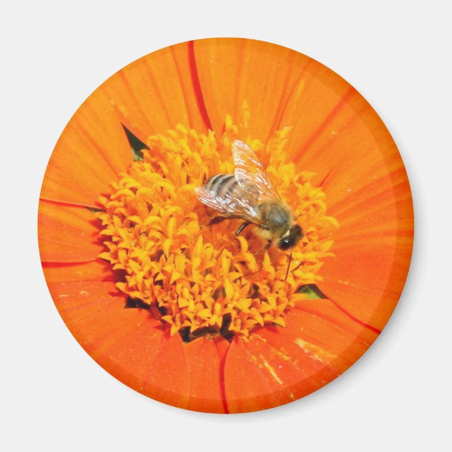 honeybee on orange magnet (Front)